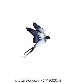 Swallow, martlet. Clear white sky, birds in a natural habitat. Barn swallow flying, wings spread. Hirundo rustica on white background. Wildlife. Tattoo design, watercolor art, set, wild animals, free