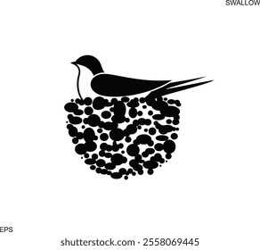 Swallow nest. Isolated swallow on white background