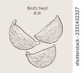 Swallow nest raw material cuisine expensive food for healthy. Bird