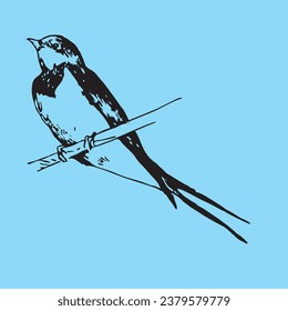 Swallow on a branch. Picture. Vector graphics, eps