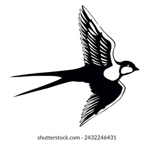 Swallow with paper card. Vector drawing