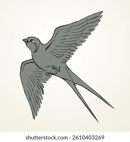 Swallow with paper card. Vector drawing