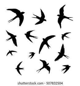 swallow set - vector, illustration