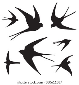 swallow silhouette set