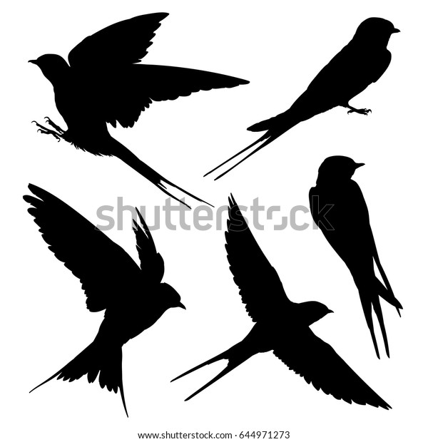 Swallow Silhouette Set Vector Illustration Stock Vector (Royalty Free ...