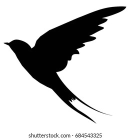 swallow silhouette - vector illustration