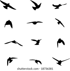 Swallow Silhouettes