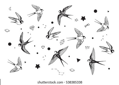 swallow in sky vector set