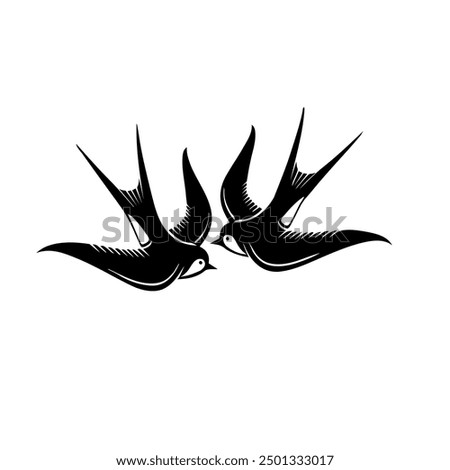swallow songbird vector, bird illustration