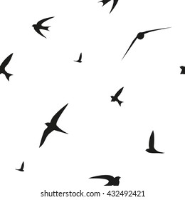 Swallow, swift, birds. Graphic vector pattern. Decorative seamless background