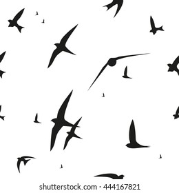 Swallow, swift, birds. Graphic vector pattern. Decorative seamless background