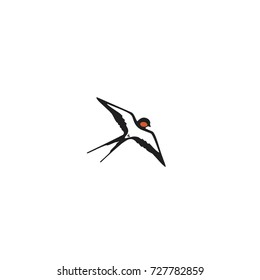 Swallow a template logo or emblem. Vector illustration