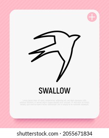 Swallow thin line icon. Modern vector illustration for logo.