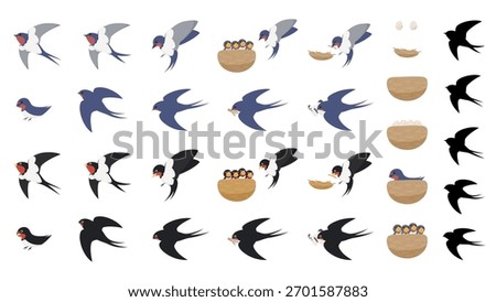 Swallow various poses and nest illustration set