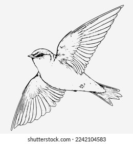 Swallow vector black and white
