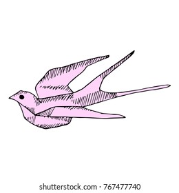 Swallow vector illustration. Doodle style. Design, print, decor, textile, paper