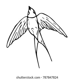 Swallow vector illustration. Doodle style. Design, print, decor, textile, paper