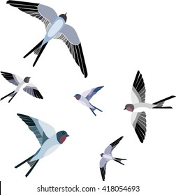 Swallow vector, vector illustration isolated birds. birds flying, animals, bird silhouette, bird vector. Swallow set