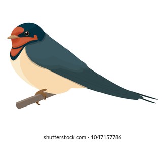 swallow vector illustration style flat side front