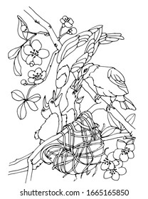 Swallows Bird Feeding Chicks coloring page