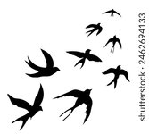 Swallows.  Black silhouette on white background. Silhouette of a flock of swallows. Contours of flying birds. Flying swallows. Indoor poster. Vector illustration for printing.
