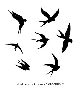 swallows. Black silhouette on a white background. Silhouette of a swarm of swallows. Black contours of flying birds. Flying swallows. Tattoo vector illustration isolated on white background.