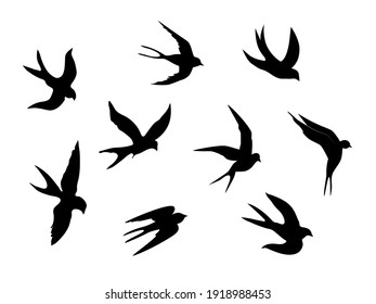 Swallows. Black silhouette on a white background. Silhouette of a swarm of swallows. Black contours of flying birds. Flying swallows. Tattoo vector illustration isolated on white background.