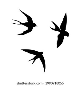 swallows. Black silhouette on a white background. Silhouette of a swarm of swallows. Black contours of flying birds. Flying swallows. Tattoo vector illustration isolated on white background.