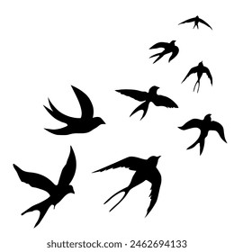 Swallows.  Black silhouette on white background. Silhouette of a flock of swallows. Contours of flying birds. Flying swallows. Indoor poster. Vector illustration for printing.