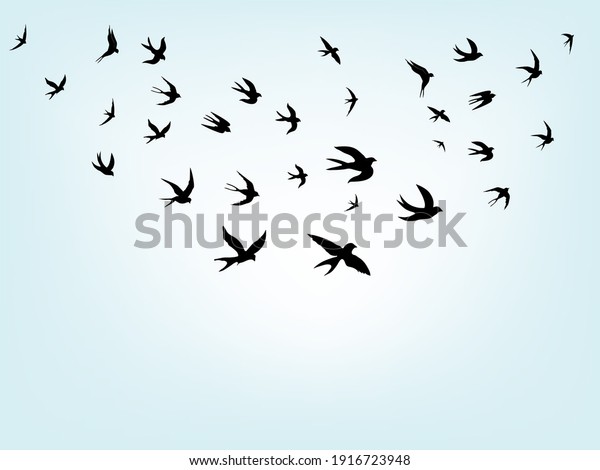 swallows. Black silhouette on a white\
background. Silhouette of a swarm of swallows. Black contours of\
flying birds. Flying swallows. Tattoo vector illustration isolated\
on blue background.