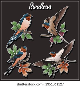 Swallows Drawing Set Tattoo Style Compositions