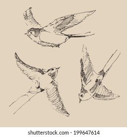 Swallows Flying Bird Set (collection) Vintage Illustration, Engraved Retro Style, Hand Drawn, Sketch