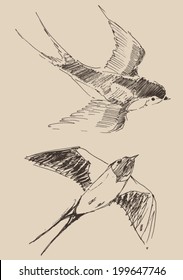 Swallows Flying Bird Set (collection) Vintage Illustration, Engraved Retro Style, Hand Drawn, Sketch