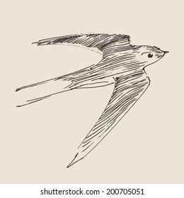 swallows flying bird vintage illustration, engraved retro style, hand drawn, sketch