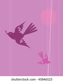 Swallows Flying at Night