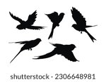 Swallows flying silhouette bundle design. Wild Swallows vector design on a white background. Beautiful bird flying silhouette set vector. small bird in different positions silhouette collection.