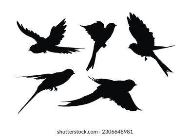 Swallows flying silhouette bundle design. Wild Swallows vector design on a white background. Beautiful bird flying silhouette set vector. small bird in different positions silhouette collection.