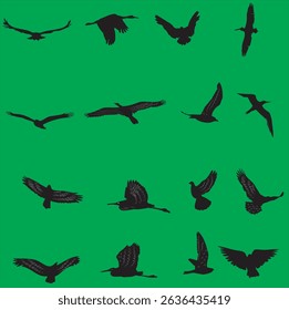Swallows flying silhouette bundle design. Wild Swallows vector design on a green background. Beautiful bird flying silhouette set vector. small bird in different positions silhouette collection.