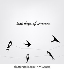 Swallows flying in the sky