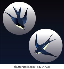 swallows flying in transparent circles on a dark blue background art vector illustration design element