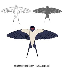 Swallows set. Different options. Color and contour.
