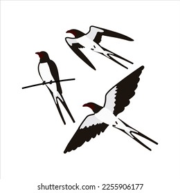 Swallows set isolated in flat cartoon design. Flying swallows and sitting at twig. Wild birds in different views. Springtime animal for spring landscapes. Vector character illustration isolated