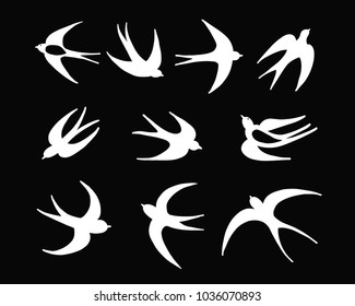 Swallows set for your design