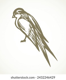 Swallows are sitting on a wire. Vector drawing