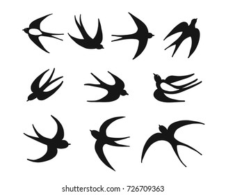 Swallows, sketch for your design