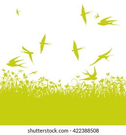 Swallows in the spring and nice weather