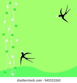 Swallows spring on a green background