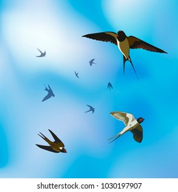 swallows swirl against the blue sky summer vector