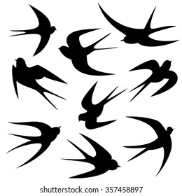 Swallows tattoo template vector Silhouette