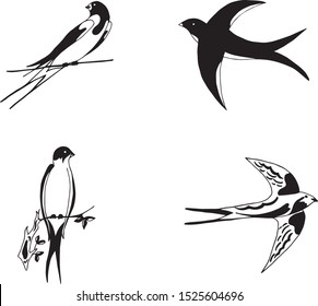 
Swallows Vector image of birds. Vector swallows.